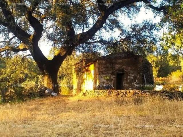 Terreno en venta Jabugo