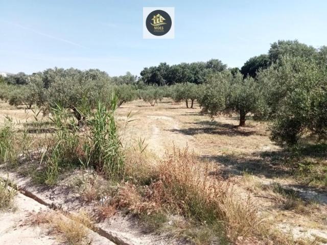 Terreno en venta Jaén