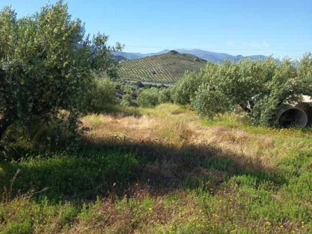 Terreno en venta Jaén