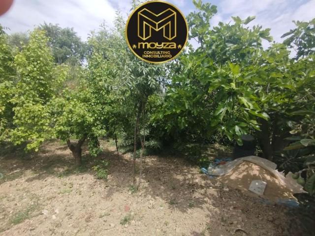 Terreno en venta Jaén
