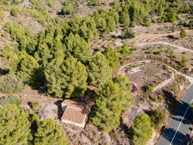 Terreno en venta Jalon Xalo