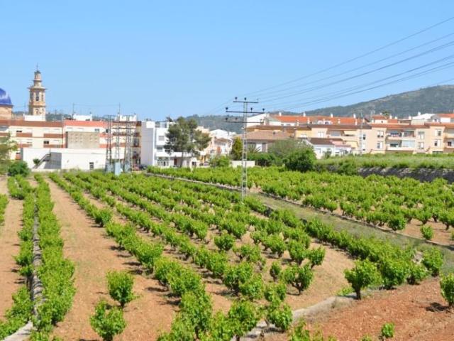 Terreno en venta Jalon Xalo
