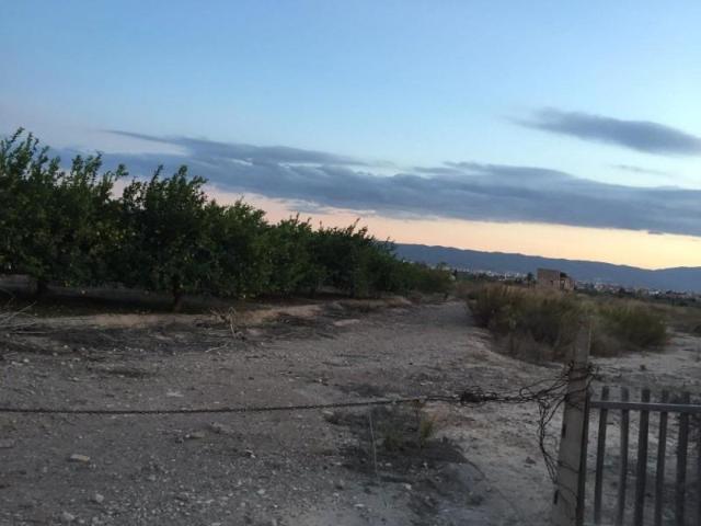 Terreno en venta Javalí Nuevo