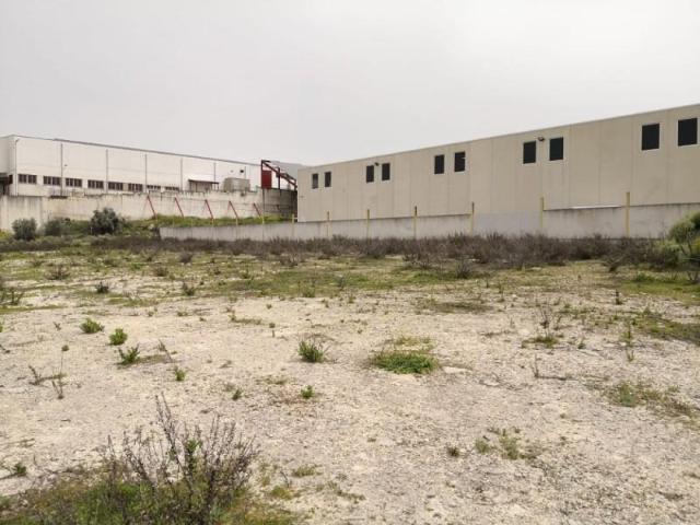 Terreno en venta Lucena