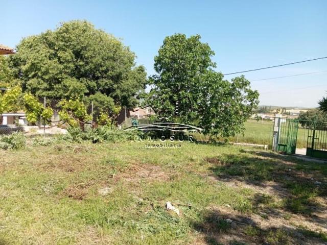 Terreno en venta Lucena
