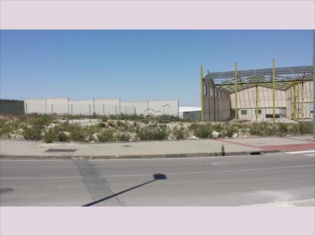 Terreno en venta Lucena