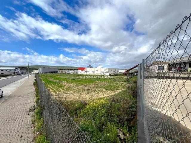 Terreno en venta Lucena