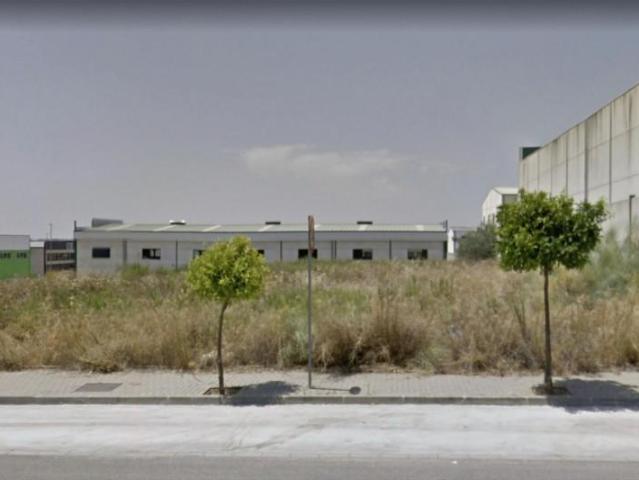 Terreno en venta Lucena