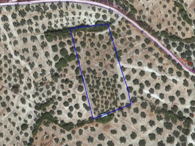 Terreno en venta Lucena