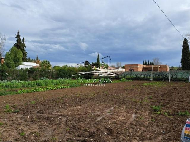 Terreno en venta Lucena