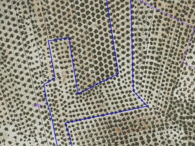 Terreno en venta Lucena