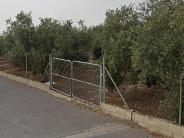 Terreno en venta Lucena