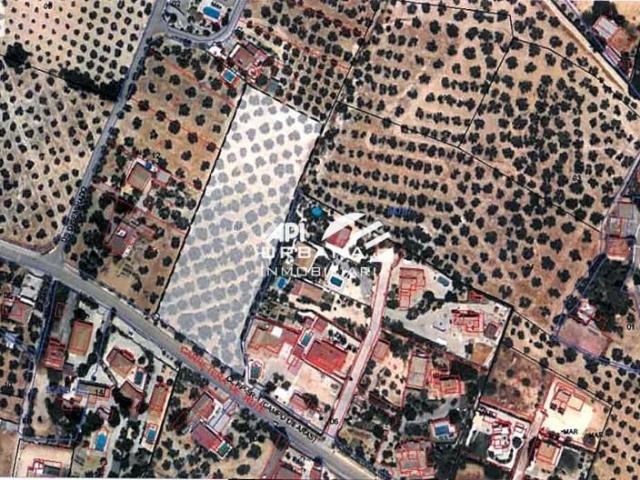 Terreno en venta Lucena