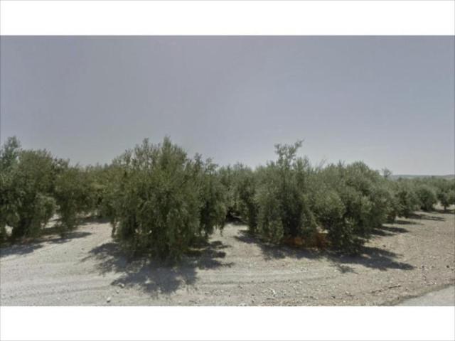 Terreno en venta Lucena