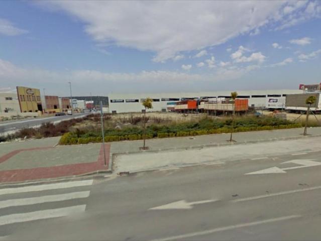 Terreno en venta Lucena