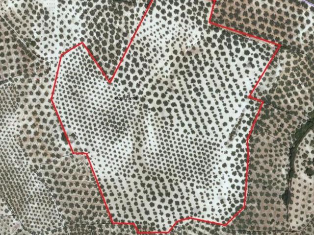 Terreno en venta Lucena
