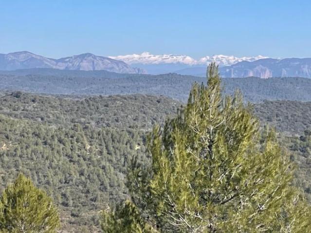 Terreno en venta Luna