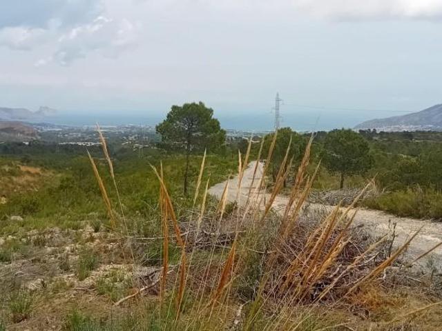 Terreno en venta La Nucia