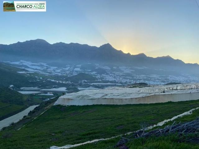 Terreno en venta La Aldea de San Nicolás