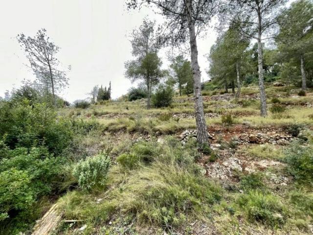 Terreno en venta la Bisbal del Penedès