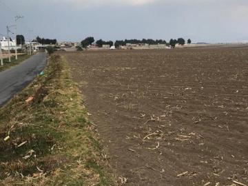 TERRENO EN VENTA LA CONCHITA CALIMAYA