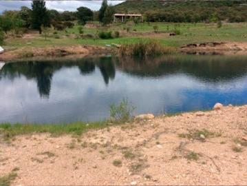 Terreno en Venta, La Herradura, Dolores Hidalgo