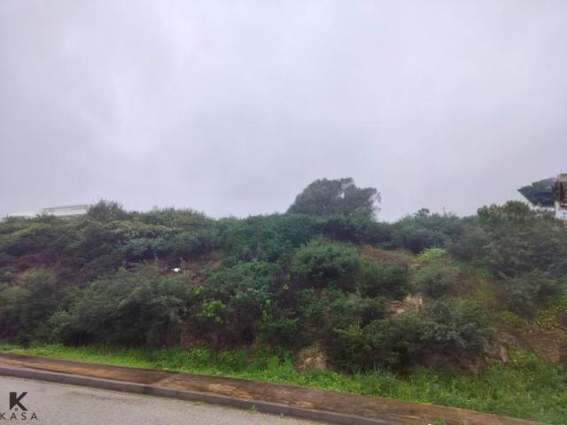 Terreno en venta La Línea de la Concepción