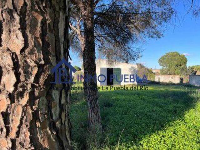 Terreno en venta La Puebla del Río