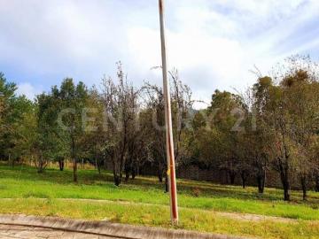 TERRENO EN VENTA, LA QUINTA SIERRA HUITEPEC, SAN CRISTOBAL DE LAS CASAS