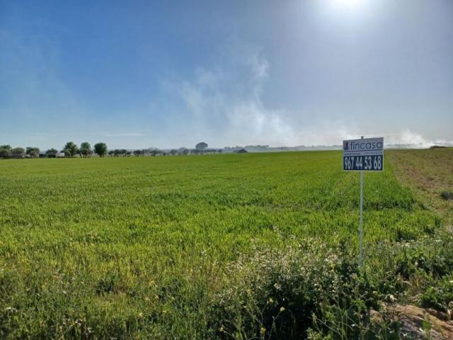 Terreno en venta La Roda