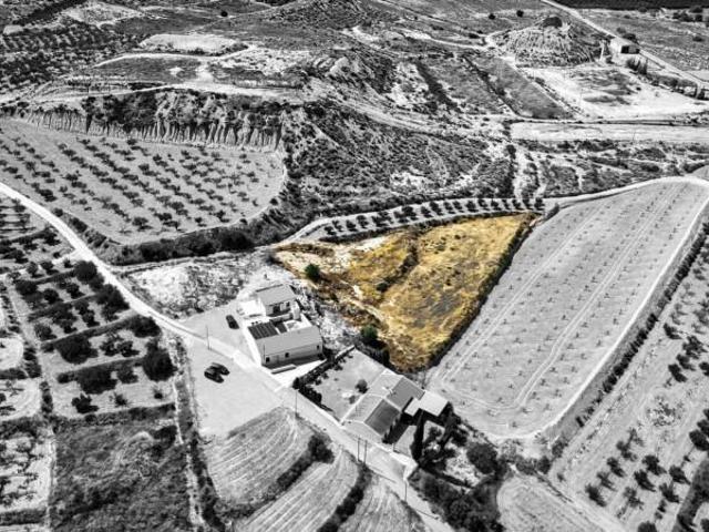 Terreno en venta La Tercia