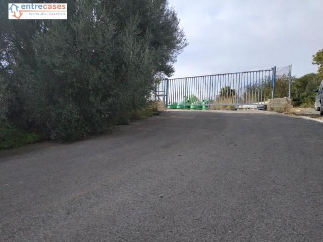 Terreno en venta La Vall d'Uixó