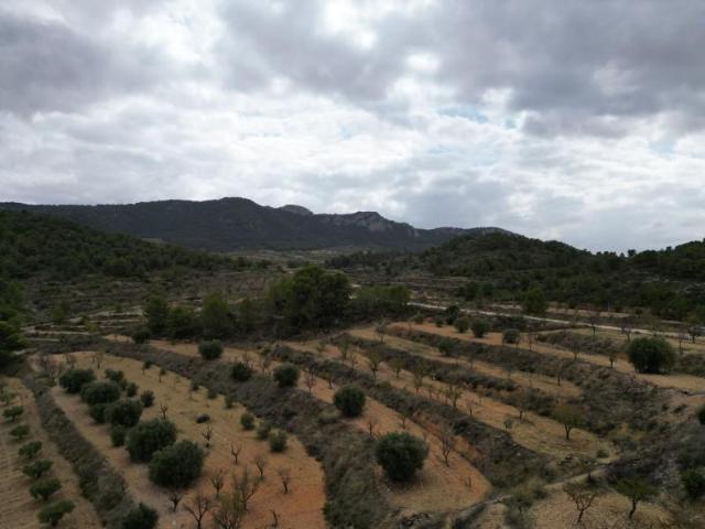 Terreno en venta La Zarza
