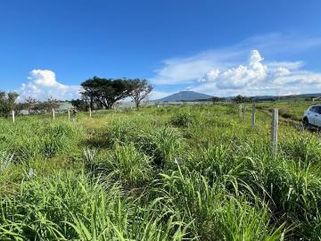 Terreno en venta las lajas tequila jalisco