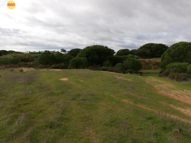 Terreno en venta Lepe