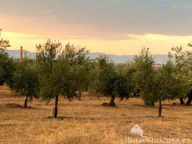 Terreno en venta Linares