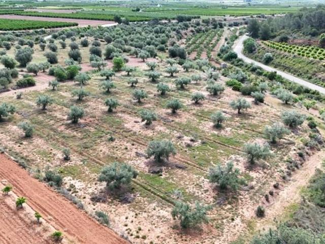 Terreno en venta Llíria