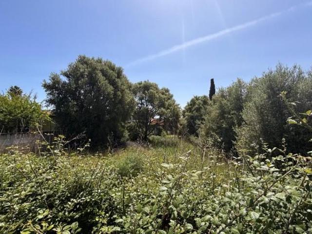 Terreno en venta Lloseta