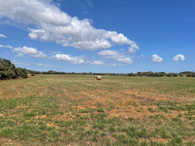 Terreno en venta Llucmajor