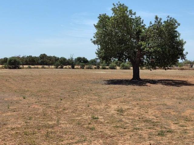 Terreno en venta Llucmajor