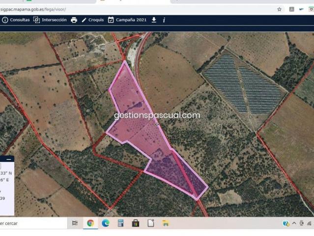 Terreno en venta Llucmajor
