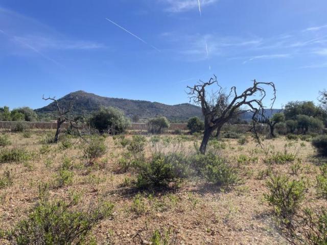 Terreno en venta Llucmajor