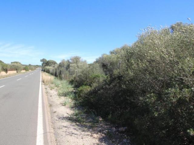 Terreno en venta Llucmajor