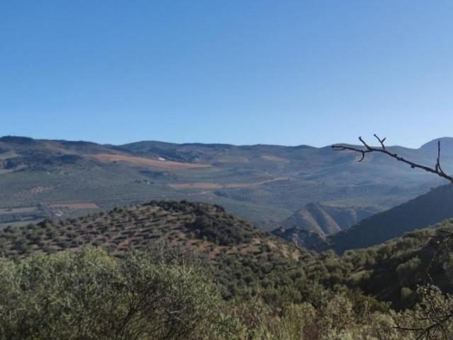 Terreno en venta Loja