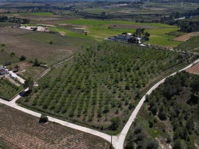 Terreno en venta L'Olleria