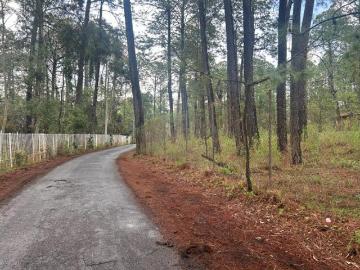 Terreno en venta | Los Espinos | a 200m de la entrada a los Reflejos | Tapalpa
