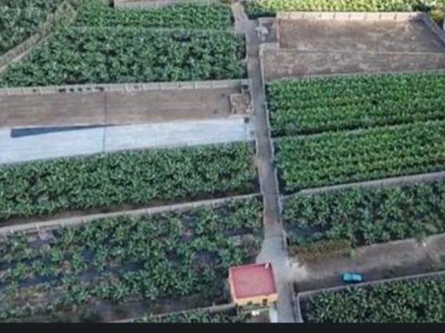 Terreno en venta Los Silos