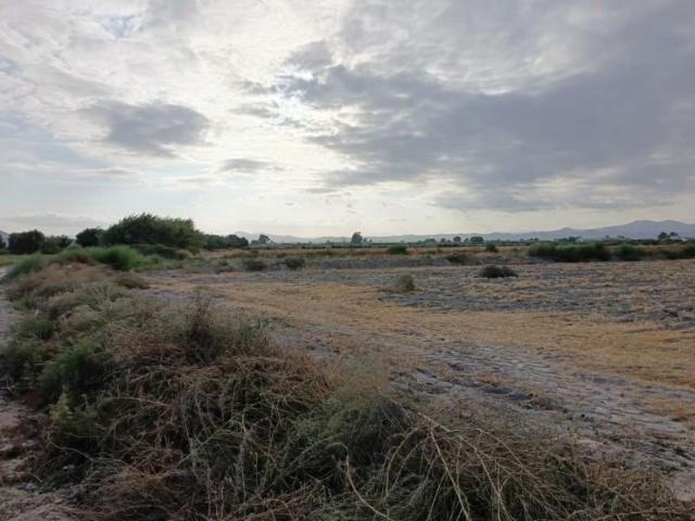 Terreno en venta Lorca