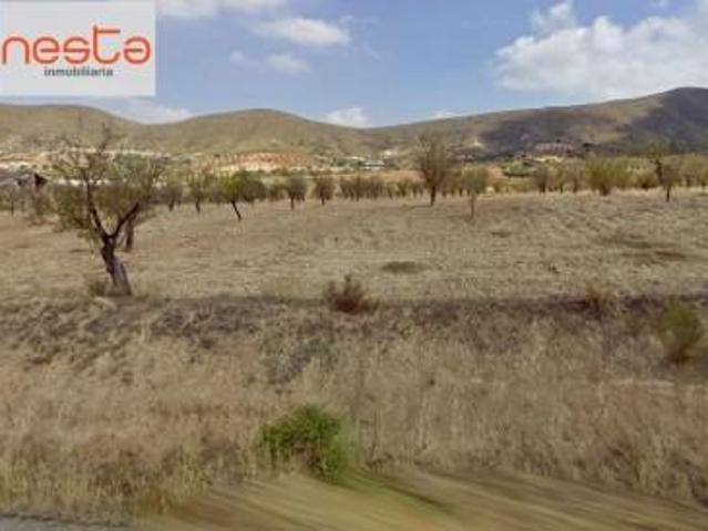 Terreno en venta Lorca