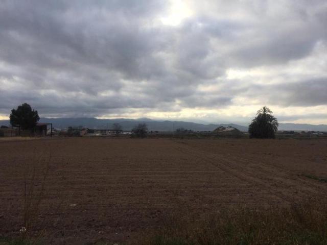 Terreno en venta Lorca